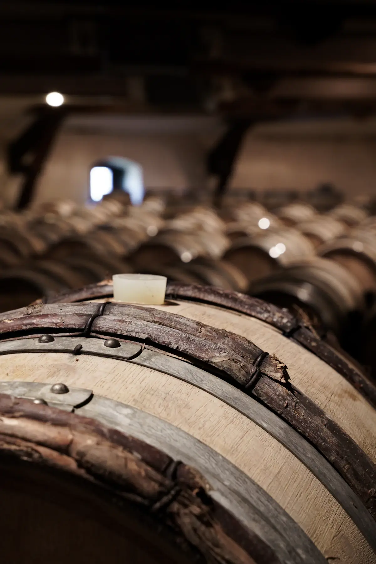 Cellar visits