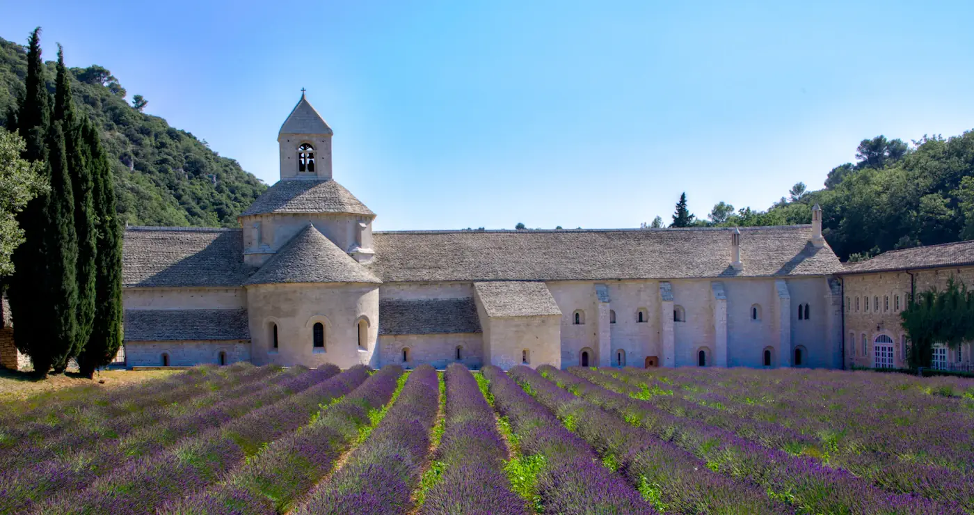 Lavender Season
